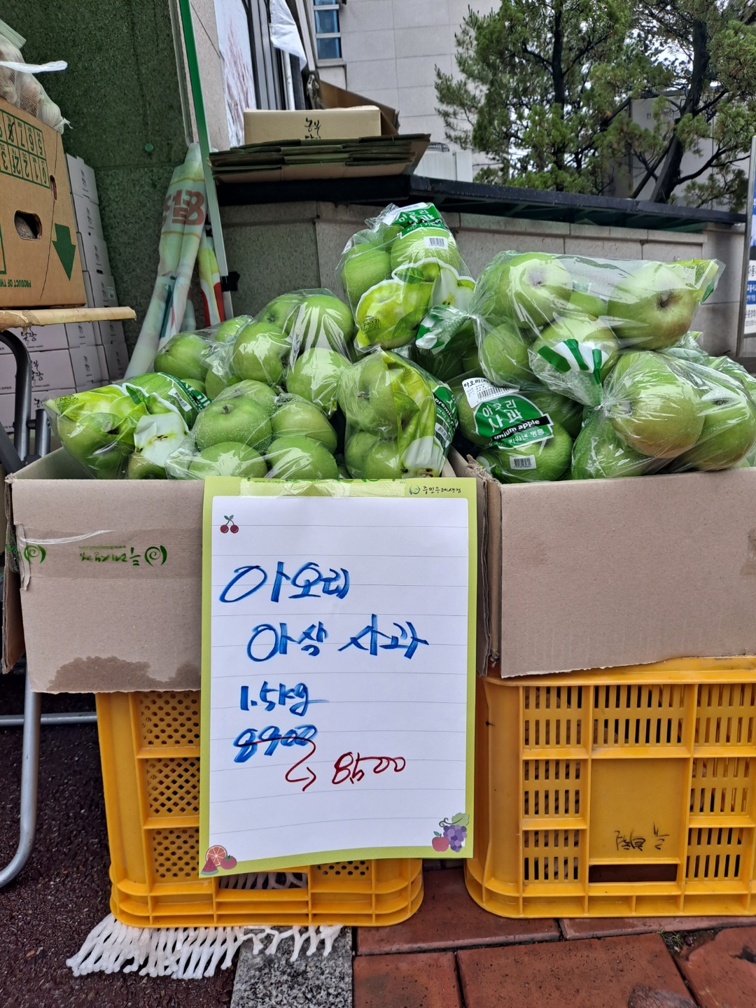 KakaoTalk_20220725_101748051_03.jpg
