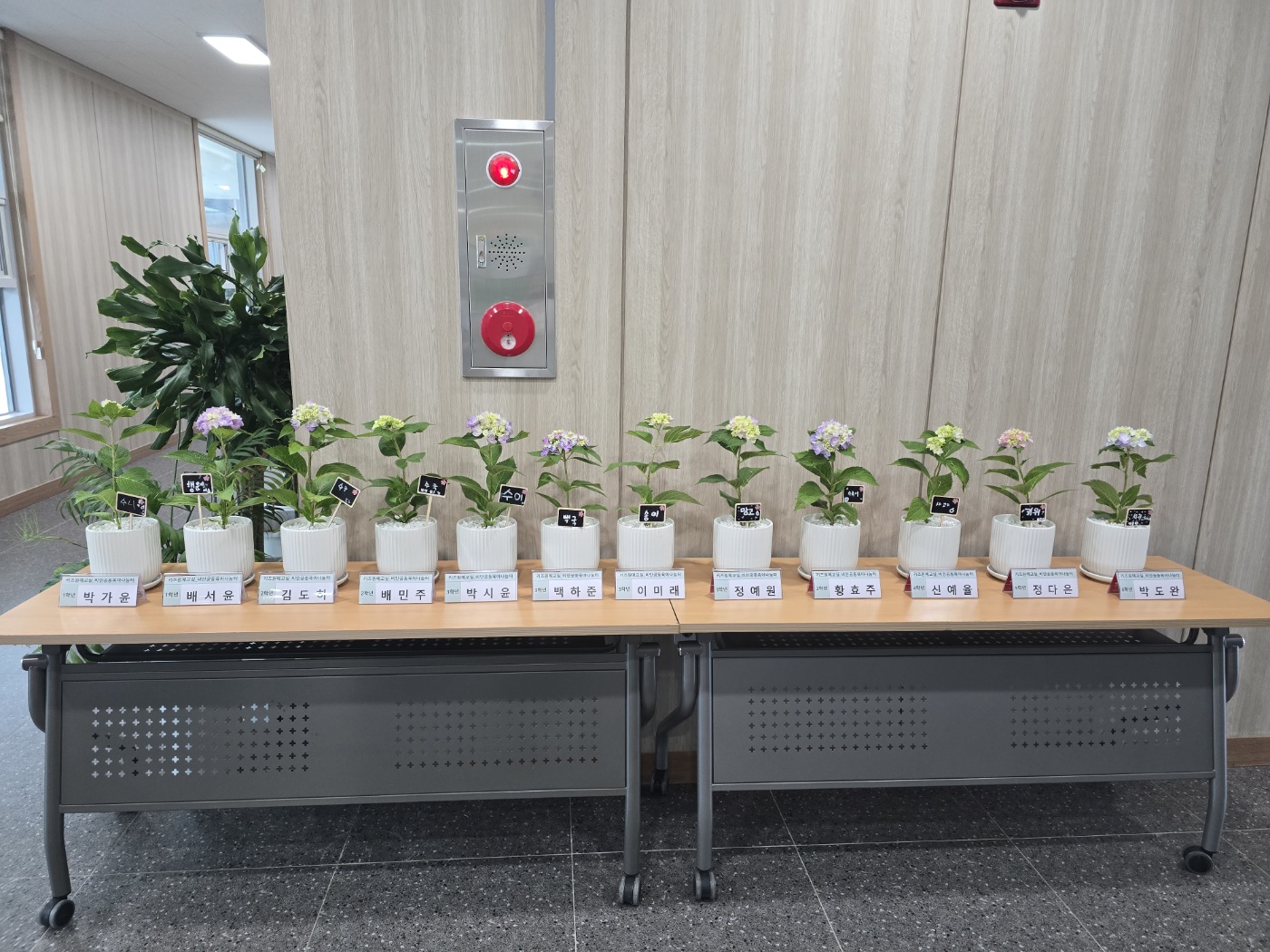 KakaoTalk_20250608_153906848.jpg