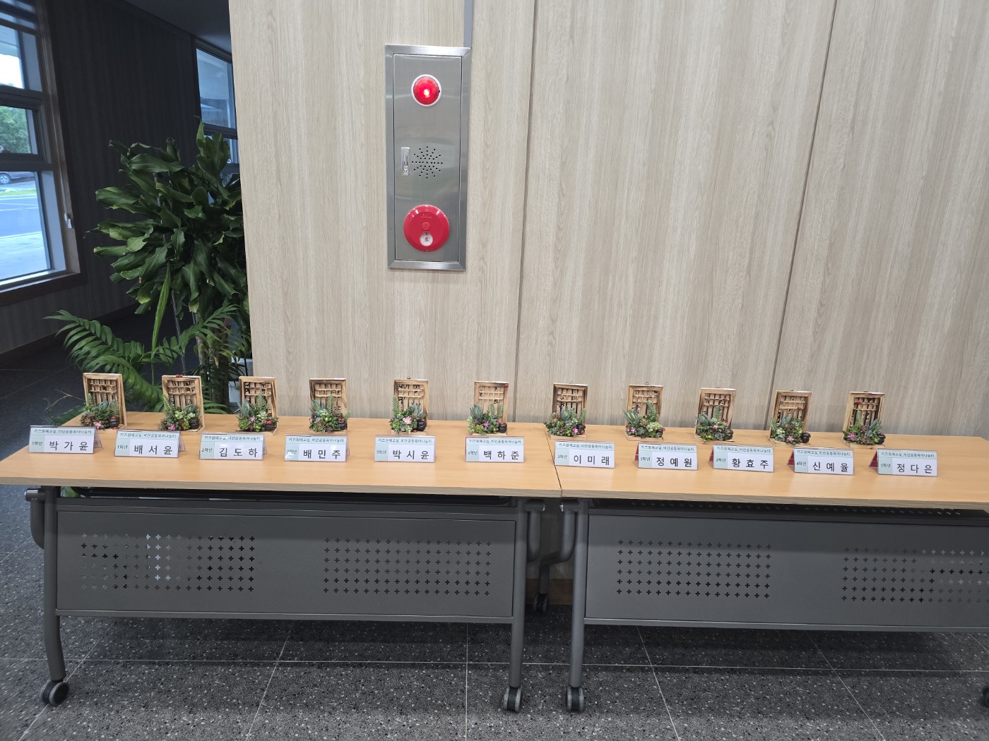 KakaoTalk_20250610_141807484.jpg